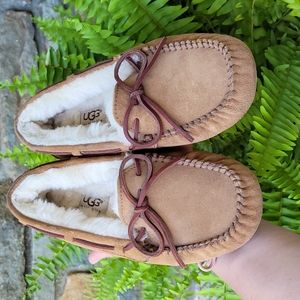 Ugg Dakota slippers